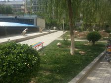 西站地铁口 王家堡 阳光玫瑰苑4室南北 带 大平台