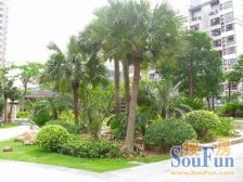 电梯低楼层,采光通风好,装修保养好.楼下即是幼儿园