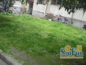 电子十所宿舍3室2厅东南