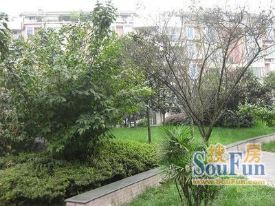 玉龙花园实景图