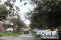 龙舟路55号院实景图