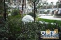 龙舟路55号院实景图