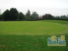 高尔国际1期 3室2厅 东南