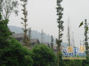 高尔国际1期3室2厅东南