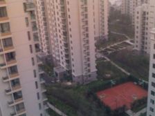 横泾新思家园五楼带阁楼露台 价格实惠163平