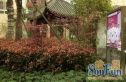 山南家园实景图