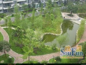 瑞临锦苑 3室1厅 东南