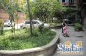 龙舟路55号院实景图