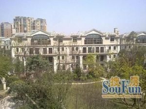 置信丽都花园城D区3室2厅东南南