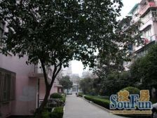 甘泉宜川·大洋新村·2室户 步梯房中楼层 简装出租中 新挂牌