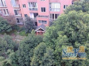 龙府花园 2室1厅 东