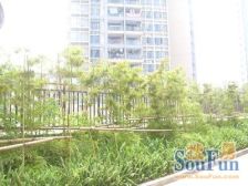 新世纪颐和居精装两房 业主诚心出售 家电齐全拎包入住