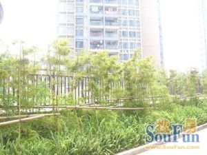 新世纪颐和居,体育公园旁装修不久邻包入住
