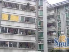 乐信花园 2室1厅 南