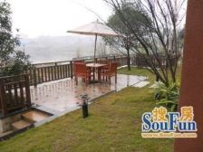 龙湖物业 森林公园 洋房 大阳台