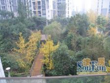 大黄路江景房,平街上二楼,屋顶花园,户型通透