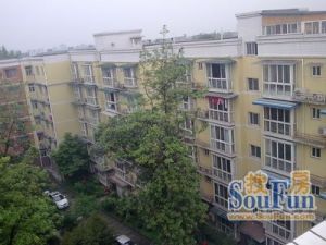 福兴花园3室1厅西南