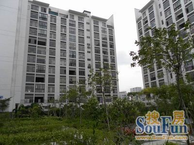 兰亭春晓实景图