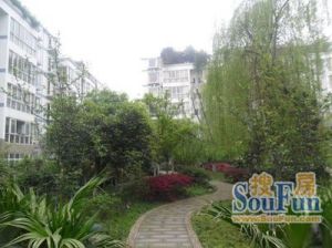 荷塘月色(红光) 3室1厅 东南