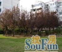 园南新村 2室1厅 南 北