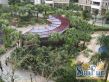 锦城花园实景图