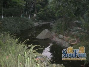 西蜀皓月5室2厅西南