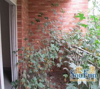 逸阳华庭实景图