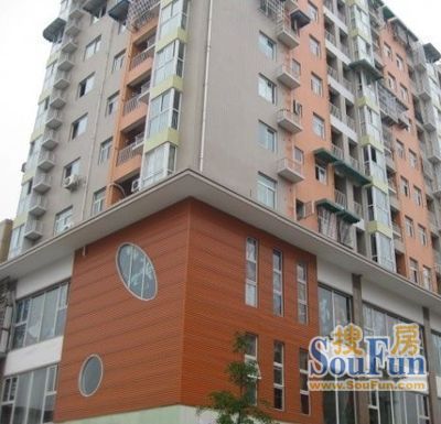 金色外滩实景图