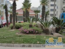 周浦果园二村 近双澧溪商圈 万.达旁 94㎡温馨 两居 配套