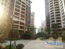 大型小区海悦新城 精装电梯两房 证满五年 产权干净