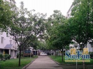 温馨苑3室2厅东南