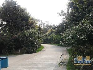 齐力花园4室2厅南北