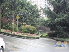 大坪医院下面,楼下肖家湾公交站,出行方便