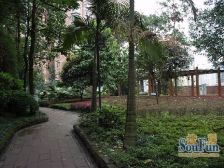 拓展大厦 3室1厅 东北