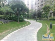 翠庭轩东向大三房,房子户型好,楼层靓,格局方正.