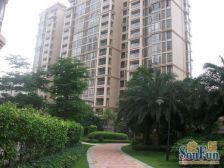 房子是中间楼层,有大阳台,通风采光好,业主诚意出售