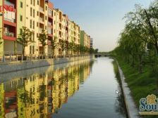 安亭新镇雅苑4室东南朝向570.00万元/套出售