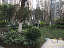 中海翠屏湾 1室2厅 东南