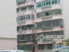 中欧金球公寓 南北通透,采光好 装修好,环镜优美 中间楼层