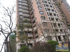 双澧溪总校 近万达 地铁口 精装保养好 拎包入住