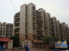 南桥寺 金果园(江北)三房51.5万