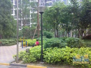 光华杏林2室1厅东