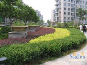 诺金山3室1厅西南