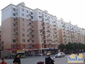 水仙园3室2厅南北