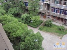 江大南路97号楼 1室0厅 南