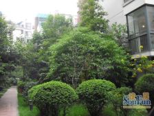 锦绣华都南区 3室1厅 南