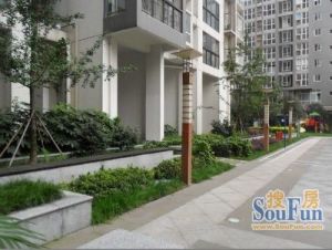 上层建筑3室2厅东南
