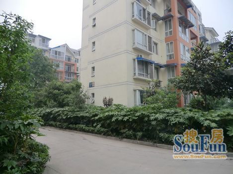 京龙嘉苑实景图