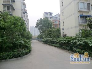 京龙嘉苑 3室1厅 东南