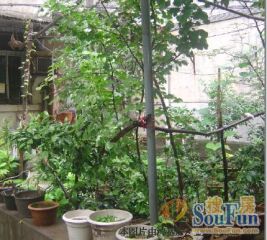 青云水厂宿舍,居家装修两房,视野开拓。